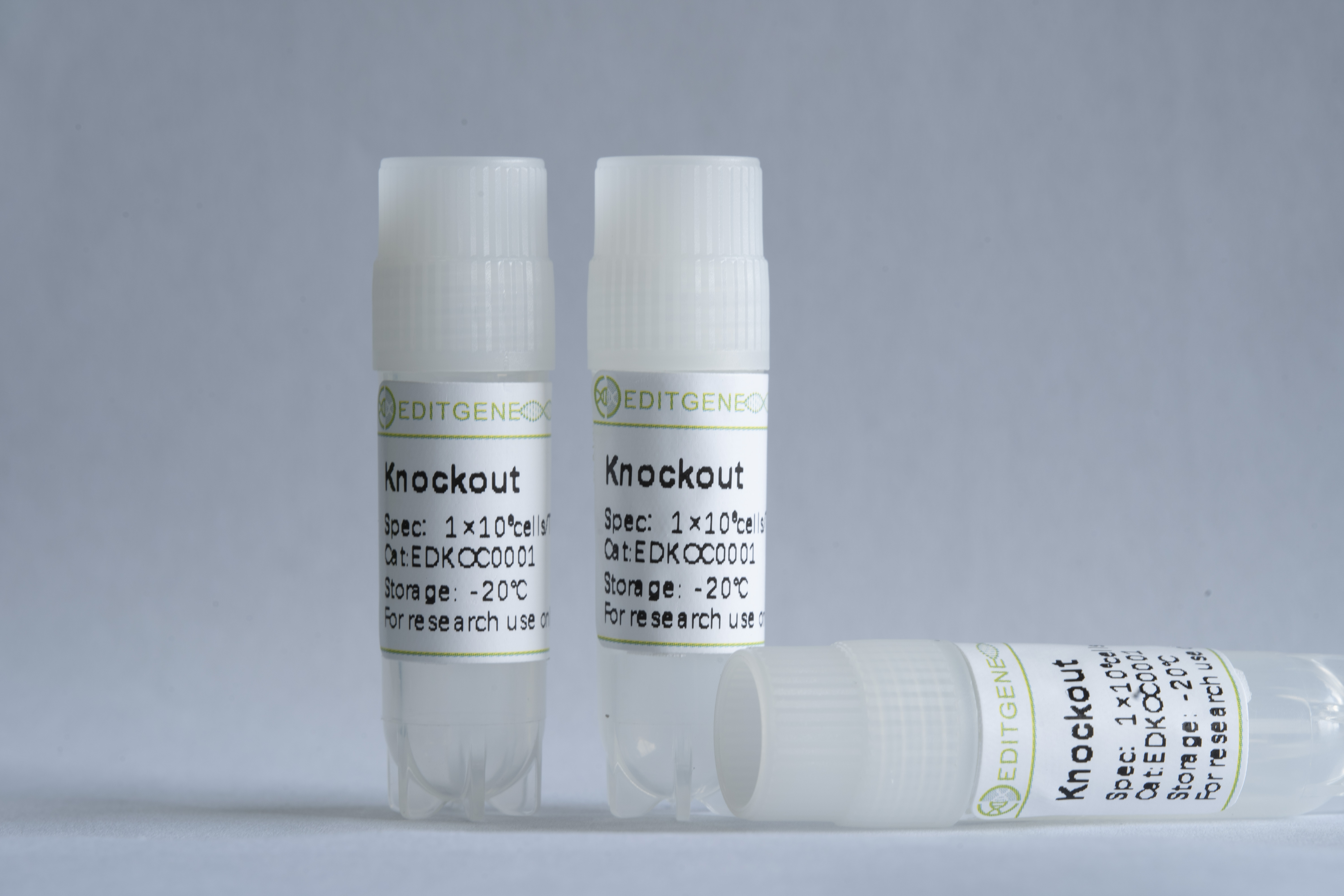 METTL7B基因敲除细胞(A549)