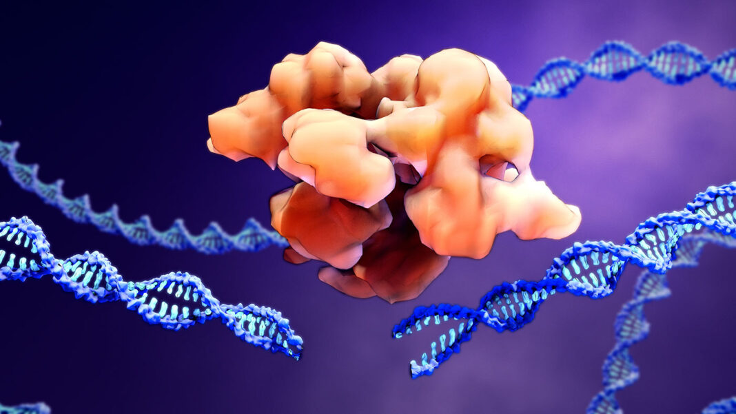 CRISPR Screens Should Be Exhaustive, Not Exhausting