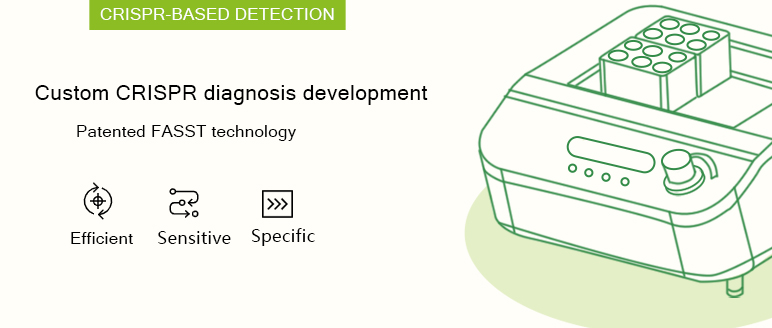 Custom Detection Service