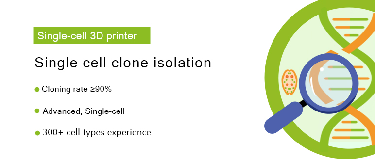 Service / Monoclone Isolation / Single Cell Clone Isolation_CRISPR Gene ...