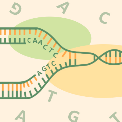 Prime Editing--Precise gene editing