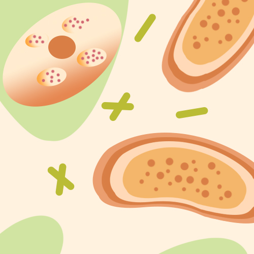 Gene Editing Enzymes Discovery