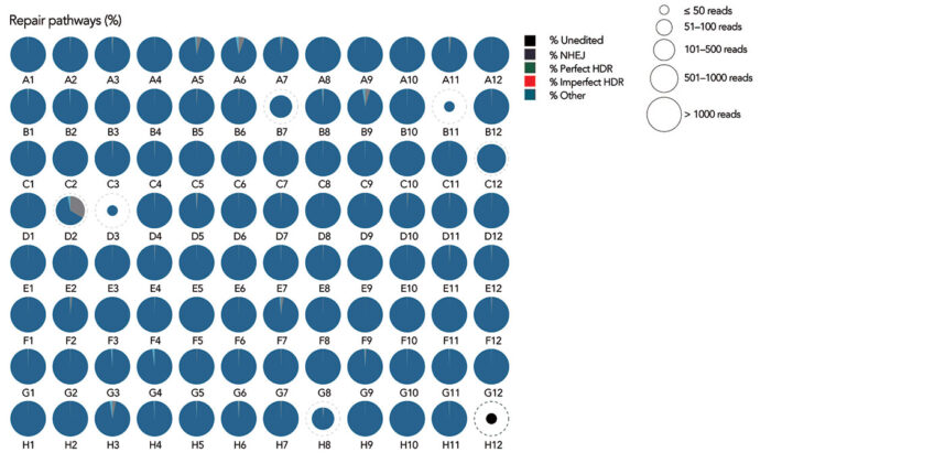 CRISPR library