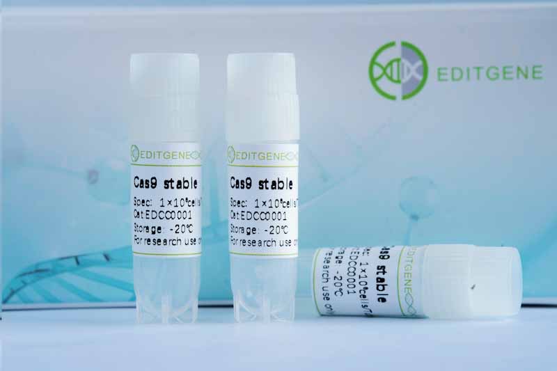 KYSE150-Cas9