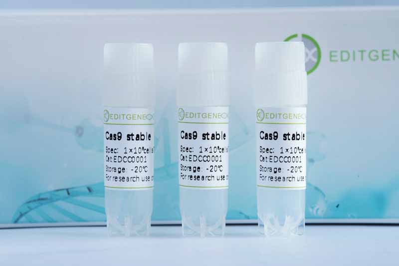 PC-12-Cas9