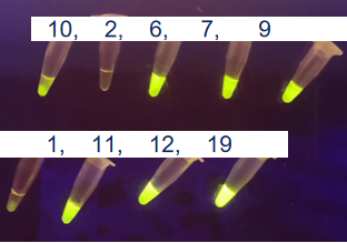 FASST detection cases