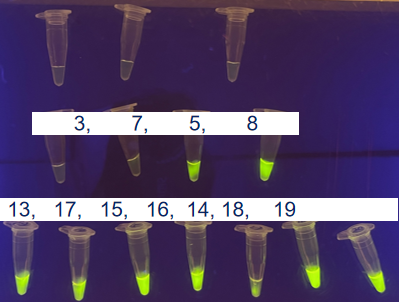 FASST detection cases