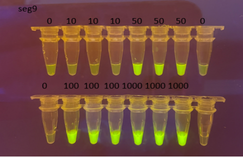 FASST detection cases