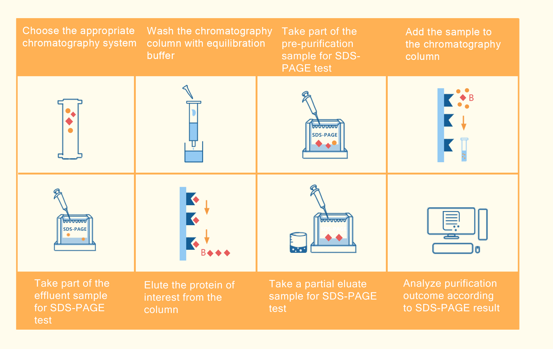 Protein purification platform workflow