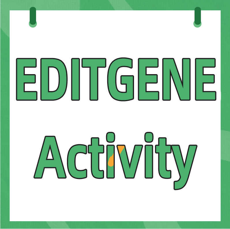 EDITGENE Launches Prime Editing 7 : A Leap in Gene-Targeted Mutation Technology